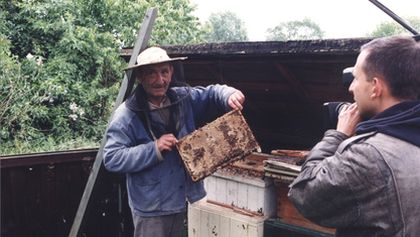 Jak se žije včelařům podle Jána Sebechlebského